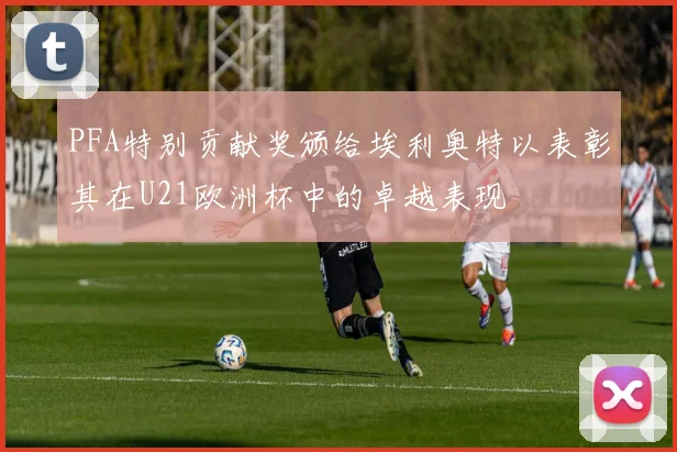 PFA特别贡献奖颁给埃利奥特以表彰其在U21欧洲杯中的卓越表现